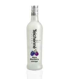 [TEIBLACKBERRY] Teichenne Blackberry Schnapps