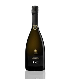 [BOLLPNVZ19] Bollinger PN VZ19