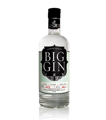 Big Gin London Dry Gin