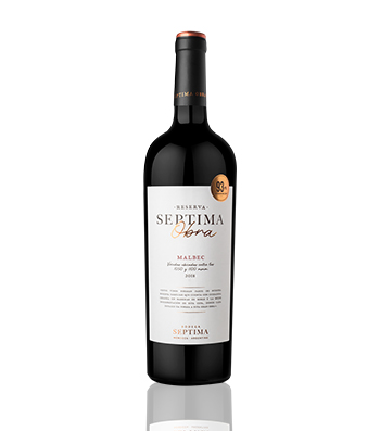 Bodega Septima Obra Malbec