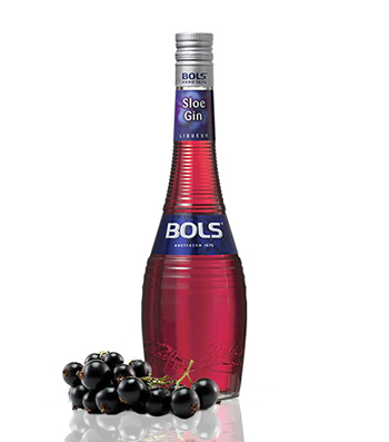 Bols Sloe Gin