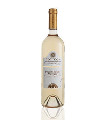 Bottega Pinot Grigio Venezia DOC