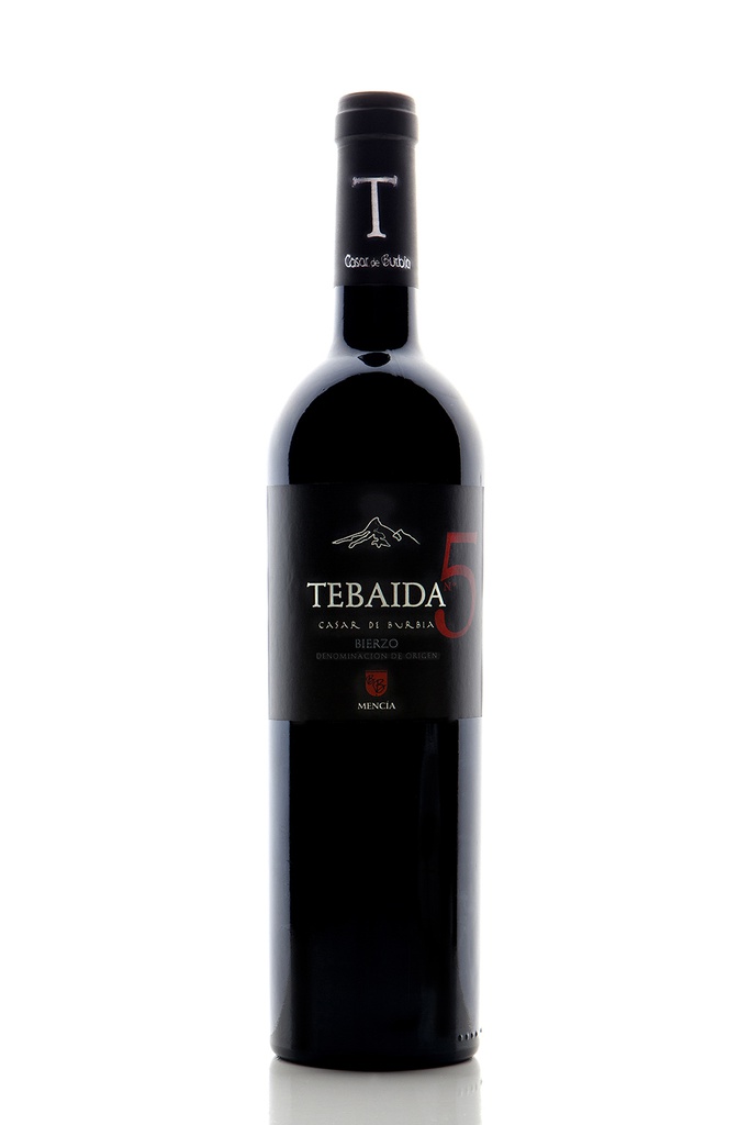 Tebaida No.5 2010