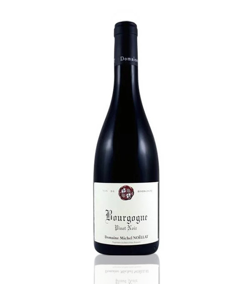 Domaine Michel Noellat Bourgogne Pinot Noir 2021