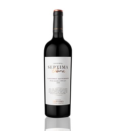 [SEPTIMAOBRACABSAU] Bodega Septima Obra Cabernet Sauvignon